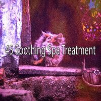 45 Soothing Spa Treatment