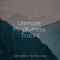 Ultimate Mindfulness Tracks