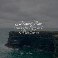 25 Natural Rain Tracks for Sleep and Mindfulness