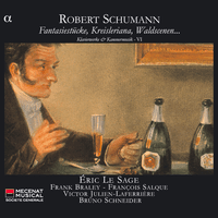Schumann: Fantasiestücke, Kreisleriana, Waldscenen… - Klavierwerke & Kammermusik VI