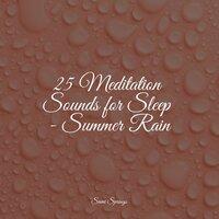 25 Meditation Sounds for Sleep - Summer Rain