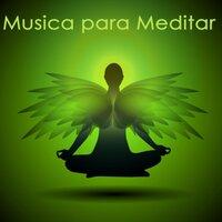 Musica Para Meditar Y Relajarse