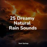 25 Dreamy Natural Rain Sounds