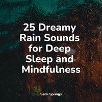 25 Dreamy Rain Sounds for Deep Sleep and Mindfulness