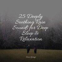 25 Deeply Soothing Rain Sounds for Deep Sleep & Relaxation