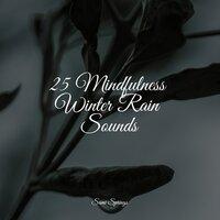 25 Mindfulness Winter Rain Sounds
