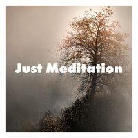 Just Meditation - Inner Harmony and Mind Control