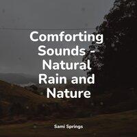Comforting Sounds - Natural Rain and Nature