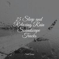 25 Sleep and Relaxing Rain Soundscape Tracks