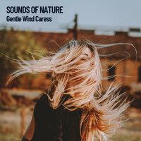 Sounds of Nature: Gentle Wind Caress