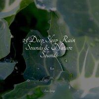 25 Deep Sleep Rain Sounds & Nature Sounds