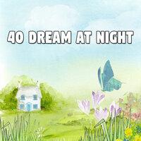 40 Dream at Night
