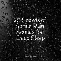 25 Sounds of Spring Rain Sounds for Deep Sleep