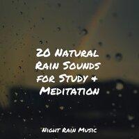 20 Natural Rain Sounds for Study & Meditation
