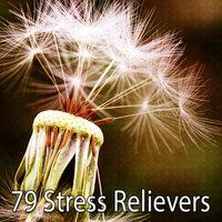 79 Stress Relievers