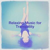 Relaxing Music for Tranquility