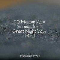 20 Mellow Rain Sounds for a Great Night Your Mind