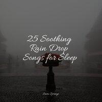 25 Soothing Rain Drop Songs for Sleep