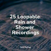 25 Loopable Rain and Shower Recordings