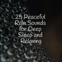 25 Peaceful Rain Sounds for Deep Sleep and Relaxing