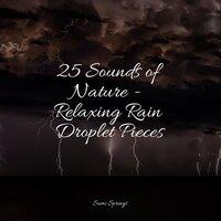 25 Sounds of Nature - Relaxing Rain Droplet Pieces