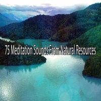 75 Meditation Sounds from Natural Resources