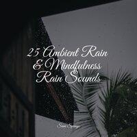 25 Ambient Rain & Mindfulness Rain Sounds