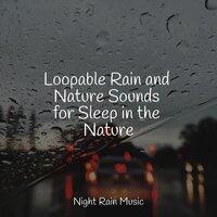 Loopable Rain and Nature Sounds for Sleep in the Nature