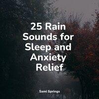 25 Rain Sounds for Sleep and Anxiety Relief