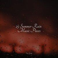 25 Summer Rain Music Pieces