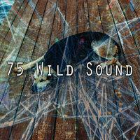 75 Wild Sound