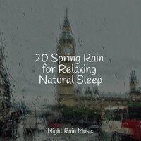 20 Spring Rain for Relaxing Natural Sleep