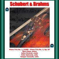 Schubert & Brahms: Piano Trio No. 1, D.898 - Piano Trio No. 2, Op. 87