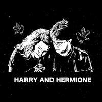Harry and Hermione (Harry Potter and the Half Blood Prince)