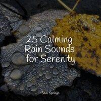 25 Calming Rain Sounds for Serenity