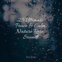 25 Ultimate Peace & Calm Nature Rain Sounds