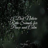 25 Best Nature Rain Sounds for Peace and Calm