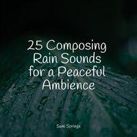 25 Composing Rain Sounds for a Peaceful Ambience
