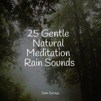25 Gentle Natural Meditation Rain Sounds