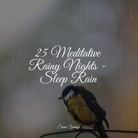 25 Meditative Rainy Nights - Sleep Rain