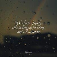 25 Calm & Steady Rain Sounds for Sleep and Relaxation