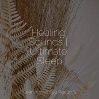 Healing Sounds | Ultimate Sleep