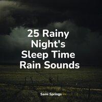 25 Rainy Night's Sleep Time Rain Sounds