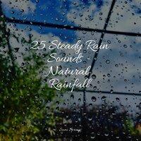25 Steady Rain Sounds - Natural Rainfall