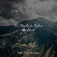 30 Tracks to Relax the Soul