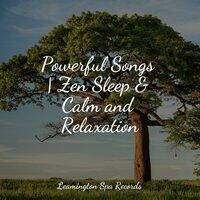 Powerful Songs | Zen Sleep & Calm and Relaxation