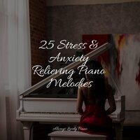 25 Stress & Anxiety Relieving Piano Melodies