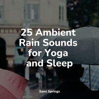 25 Ambient Rain Sounds for Yoga and Sleep