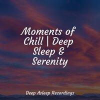 Moments of Chill | Deep Sleep & Serenity