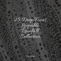 25 Deep Focus Loopable Rainfall Collection